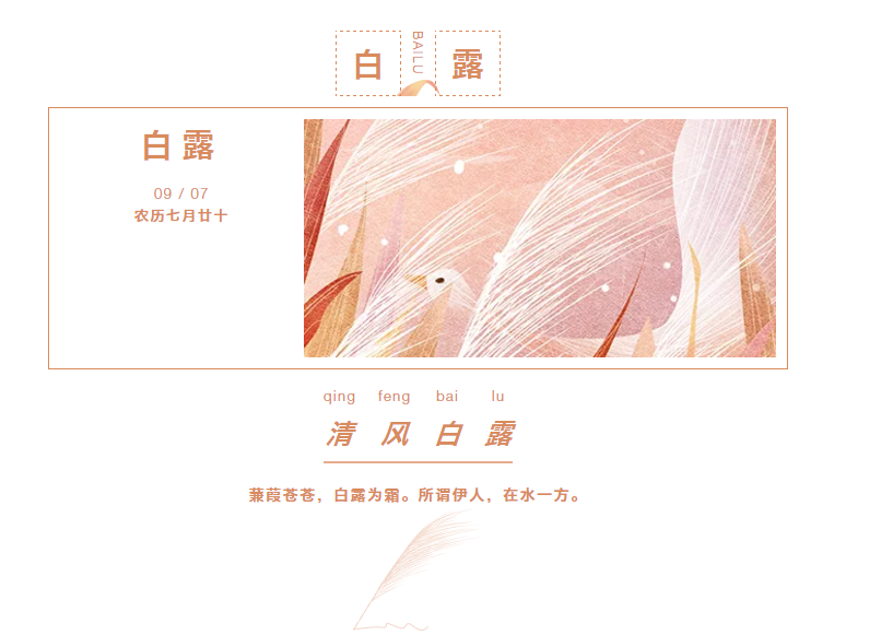 91视频污下载
