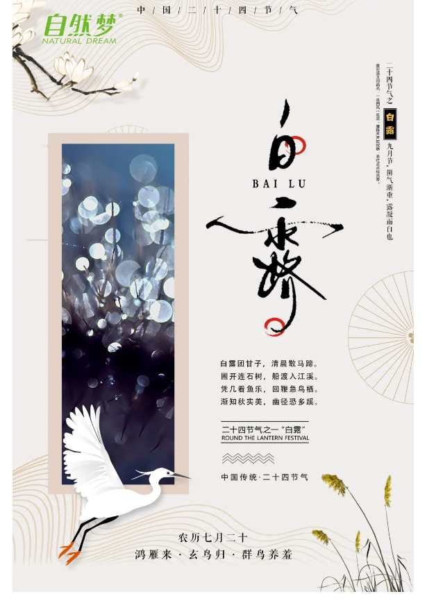 91视频污下载床垫